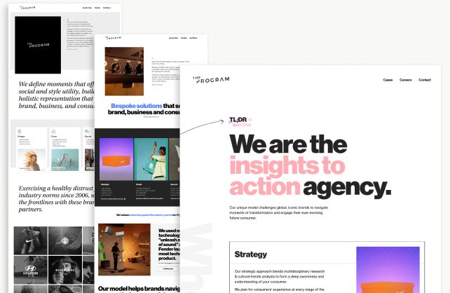 Collage of updated landing pages for The Program